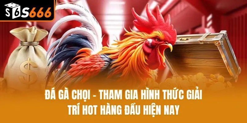Đá Gà Chọi - Tham Gia Hình Thức Giải Trí Hot Hàng Đầu Hiện Nay